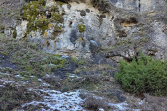 photo_45_2025-02-03_17-52-11