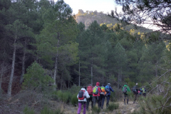 photo_5_2025-02-03_17-52-11