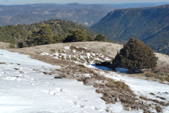 photo_8_2025-02-03_17-52-11