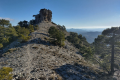 photo_9_2025-02-03_17-52-11