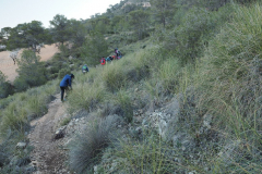 photo_10_2025-02-09_20-12-28