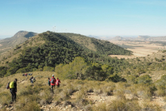 photo_11_2025-02-09_20-12-28