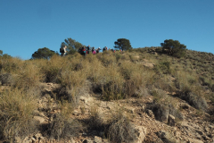 photo_13_2025-02-09_20-12-28