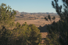 photo_14_2025-02-09_20-12-28