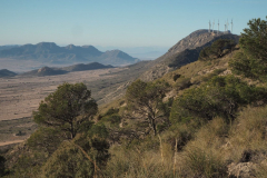 photo_16_2025-02-09_20-12-28