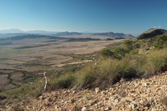 photo_17_2025-02-09_20-12-28