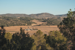 photo_1_2025-02-09_20-12-28