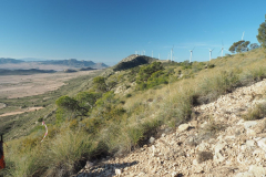 photo_3_2025-02-09_20-12-28