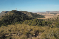 photo_6_2025-02-09_20-12-28