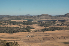 photo_7_2025-02-09_20-12-28