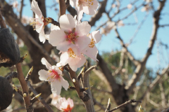 photo_8_2025-02-09_20-12-28