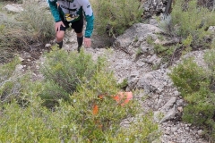 FB_IMG_1646735628099