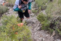 FB_IMG_1646735635727