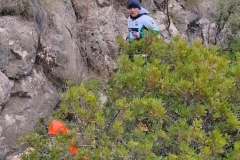 FB_IMG_1646737052478