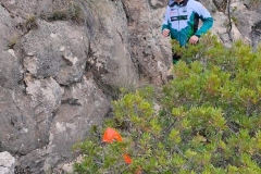 FB_IMG_1646737092087