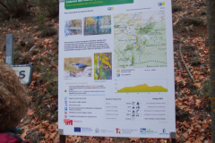 DSCF3228