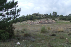 DSCF3278