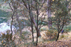 DSCF3283