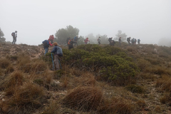 IMG-20241109-WA0024