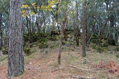 IMG-20241109-WA0025