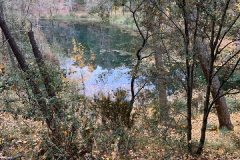 IMG-20241109-WA0042