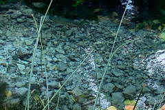 IMG-20241109-WA0045