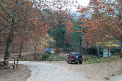 IMG-20241109-WA0052