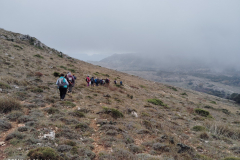 IMG_20241109_125241
