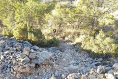 IMG20251207094653