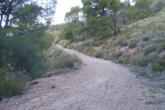 DSCF2593