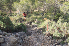DSCF3670