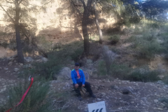 IMG-20241124-WA0007