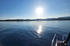 WhatsApp-Image-2022-04-30-at-4.03.12-PM