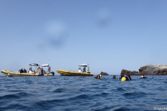 Buceo en la Herradura-Granada- 25 y 16-05-2024
