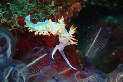 WhatsApp-Image-2024-05-27-at-21.04.43-1