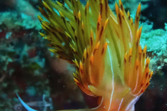 WhatsApp-Image-2024-05-27-at-21.04.44