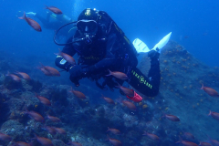 WhatsApp-Image-2024-05-27-at-21.04.45-1