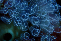 WhatsApp-Image-2024-05-27-at-21.04.45