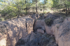 IMG-20231203-WA0014