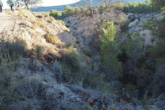 IMG-20231203-WA0025