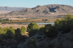 IMG-20231203-WA0028