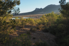 IMG-20231203-WA0031
