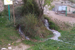 DSCF2369