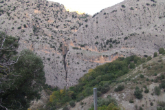 DSCF2374