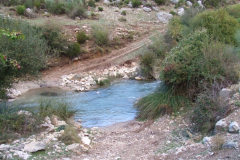 DSCF2376