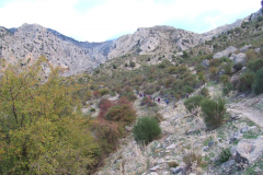 DSCF2380