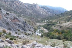 DSCF2393