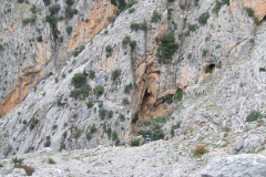 DSCF2394