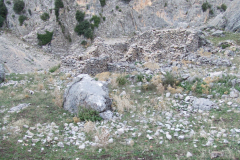 DSCF2396