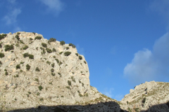 DSCF2397